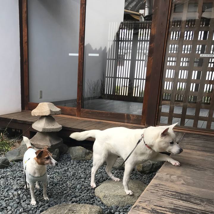 9ac83bf2 a00e 4d91 b4c5 03b4aa2f976c 1520649608142