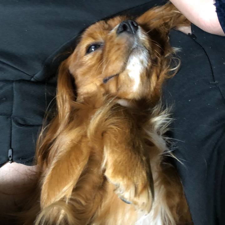 9ac8f7a0 6b3a 4a2c 8241 9919257dbb1c 1550701687278