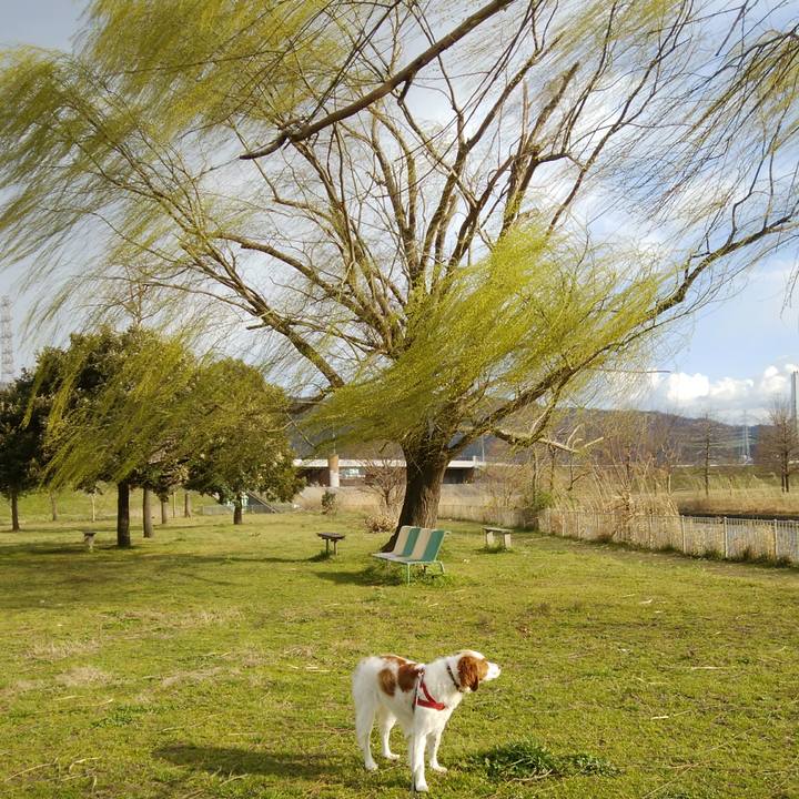 9ac93d31 8b6a 4df6 bfef fcbe4a59a5e4 1552480377970