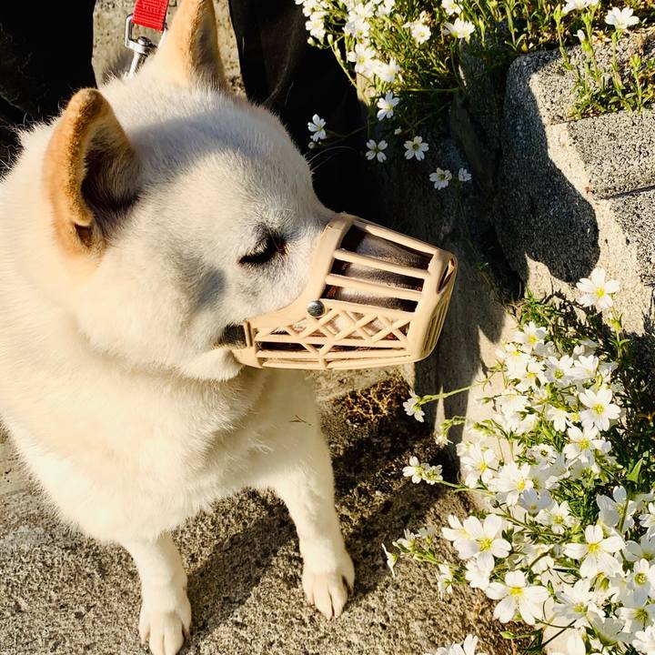 9ac947ea 1f26 4c82 ac41 0bc2c271e769 1590785722623