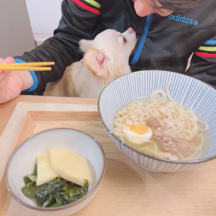 9ac95238 ab8b 4aad 9125 6573d502e4c8 1744861662895