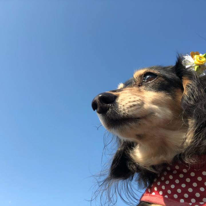 9ac95873 dc24 4194 a003 37c2f9015849 1551139857883