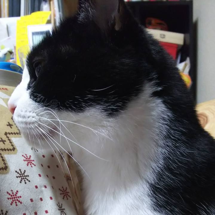 9ac9bbb3 bc30 421d ad99 285b83f80641 1579643363922