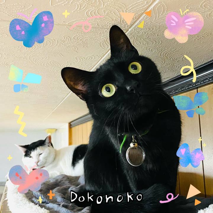 9ac9e249 b5a0 4b21 a688 06a5edfa66e1 1711023491894