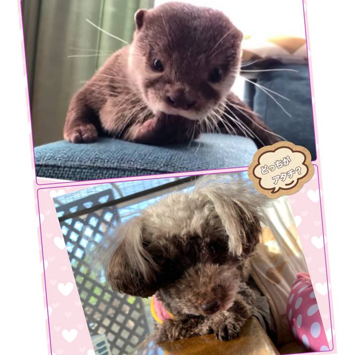 9aca2d09 c11f 432a b00b 5e5c620477f6 1589321345111