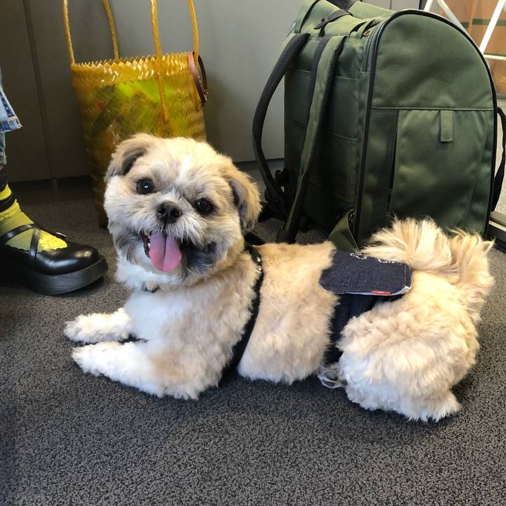 9aca3290 8f74 4435 a625 56d2443c3e1d 1618882359316