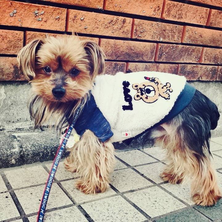 9aca4878 60e1 4e20 abec 670228eb2892 1509057517939