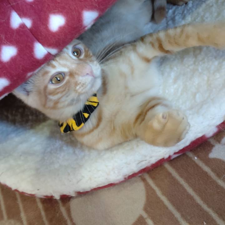 9aca9907 0920 4d0b 8a76 b726d4cfd3d7 1672819301780