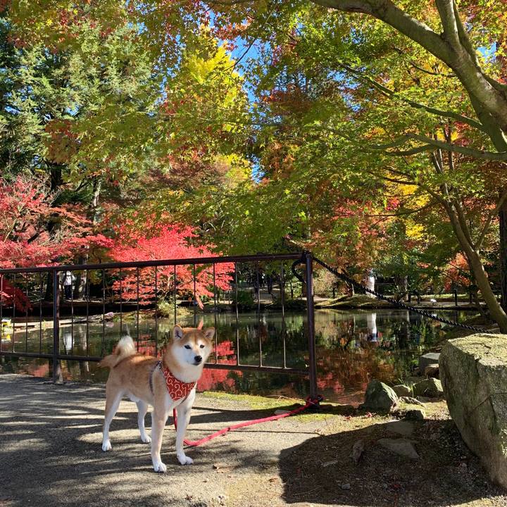 9acacf7f ae1a 485f 85e5 892fc0b7a2eb 1573549096490