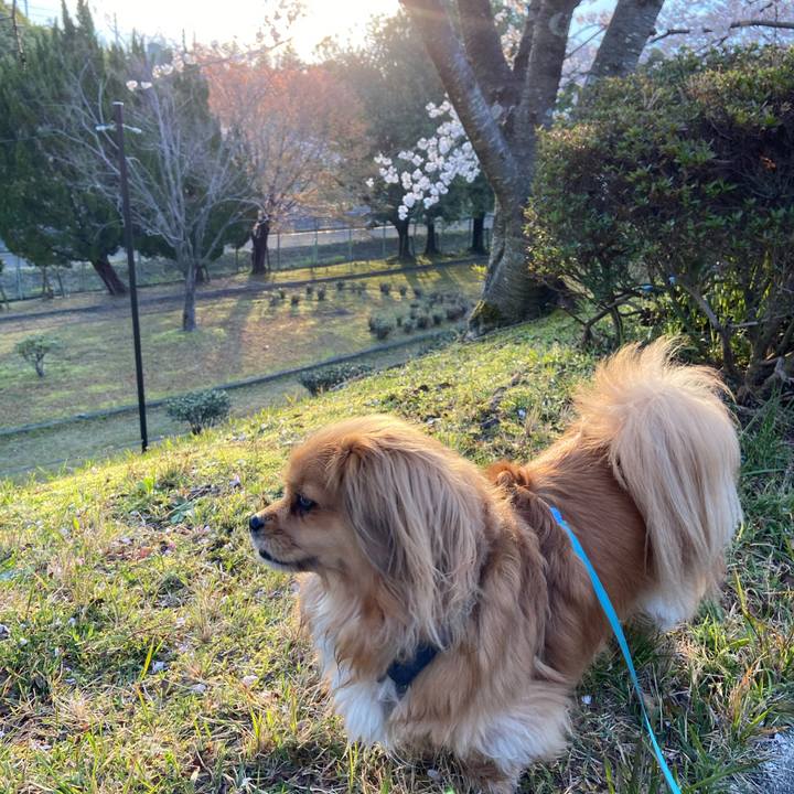 9acb39a5 797d 48c4 9acb d99c1e625bdc 1586208431583