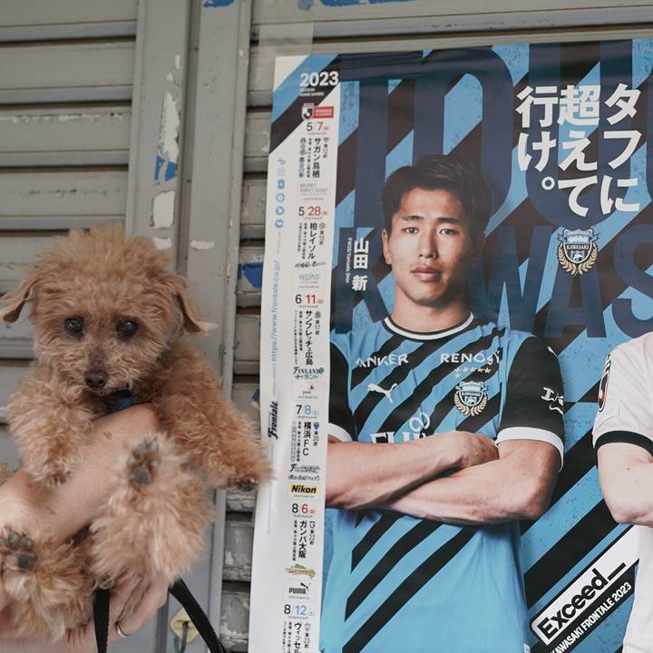 9acb475b 3a7d 4a84 840c eacd896fc865 1699879952138