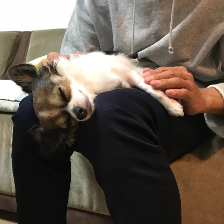 9acb4e11 38eb 4830 8c9d 607ab9db1d10 1508589171376