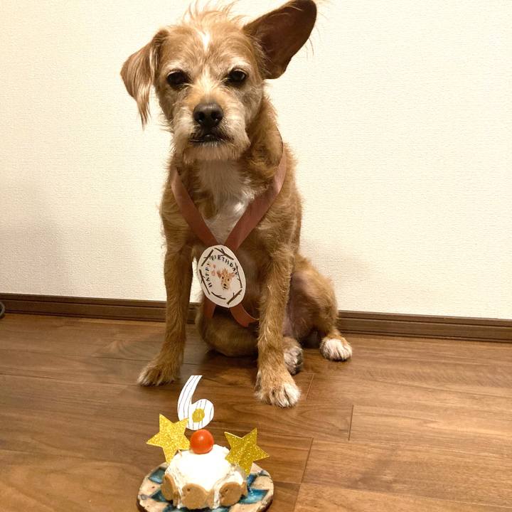 9acb4f9b df1a 4fe0 9bb4 aa49c0268e3a 1698663682796