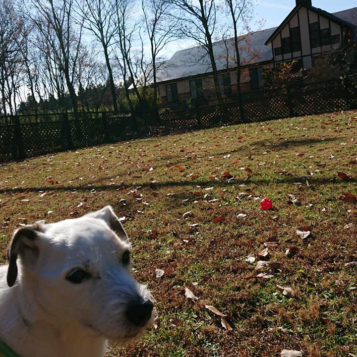 9acb5ef4 1327 4732 9bf7 e586409f6809 1542844137644