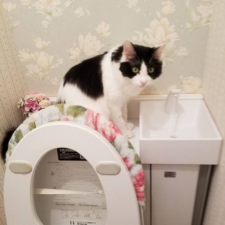 9acb5f01 87f4 49c8 8ce7 d1a2ff0e0b69 1538092867933