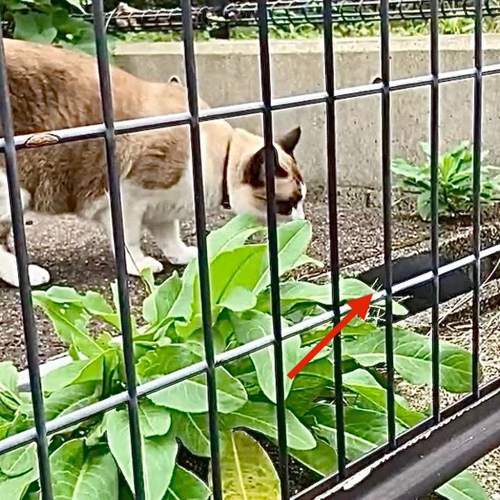 9acba01b 080e 44b5 ab65 eec6551e9a1b 1730101604127