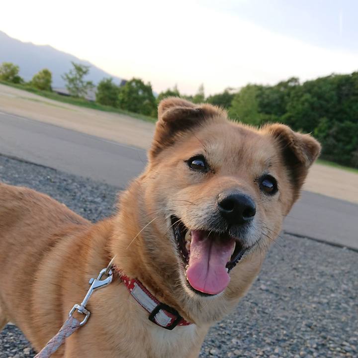 9acbba80 32a8 4231 ad1a 967e90b1e66f 1559218814414