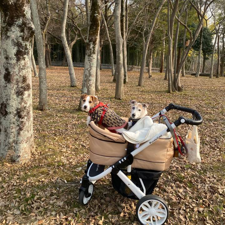 9acbed70 34a9 48dd b937 65a71a4cb59d 1673241273051