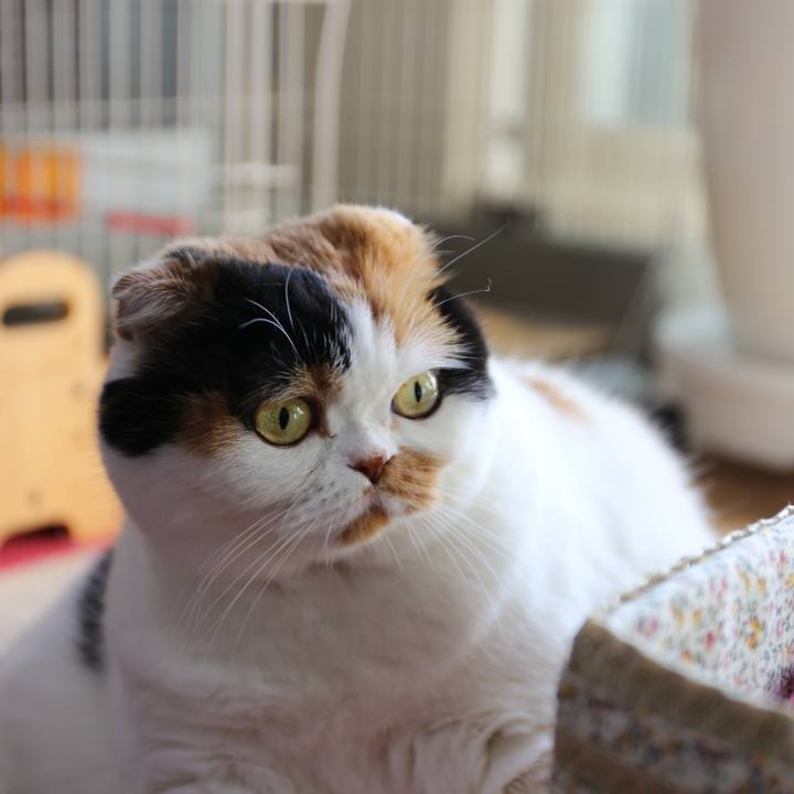 9acbf550 bdec 4ada a1c9 22f1e1c8a3ff 1562761619719