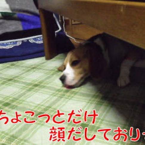 9acc2d02 3c25 4cec ae7f ff1abfff8235 1719261852230