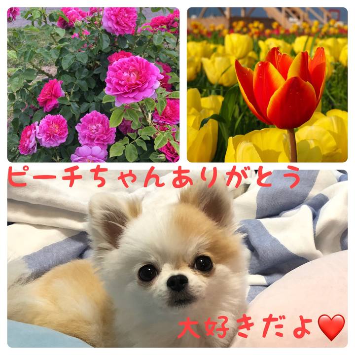 9acc34a1 7c15 4fc7 8f8d 5321b7691a21 1534168800615