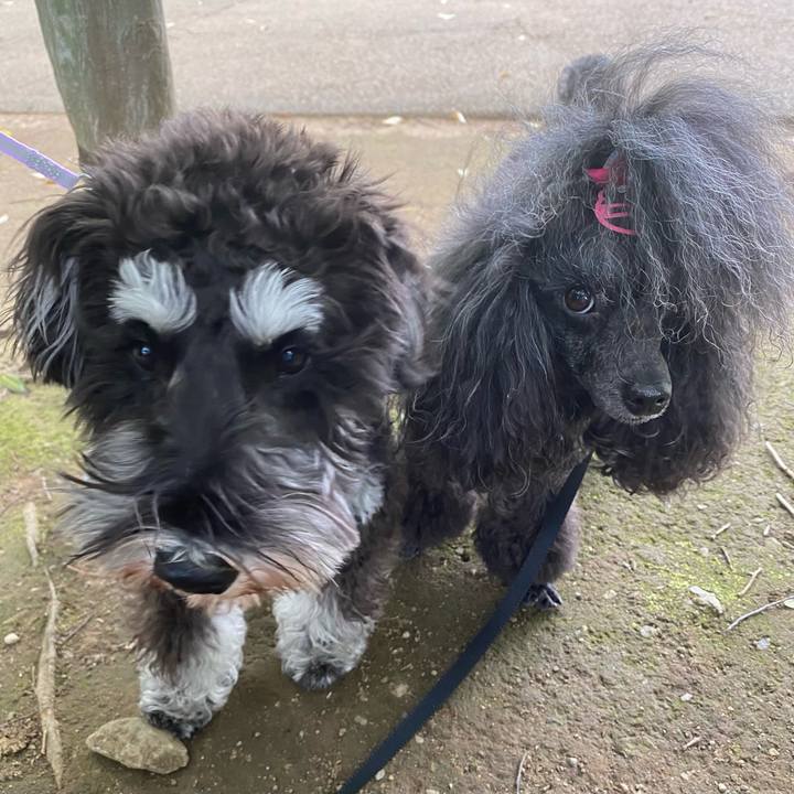 9acc99a2 699c 438f 9a74 6b5389a41d31 1683783821656