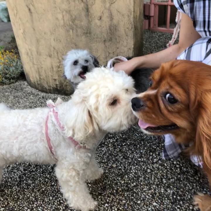 9acc9a5b 8fa7 47c4 8f0b e38e42994d70 1564309216921