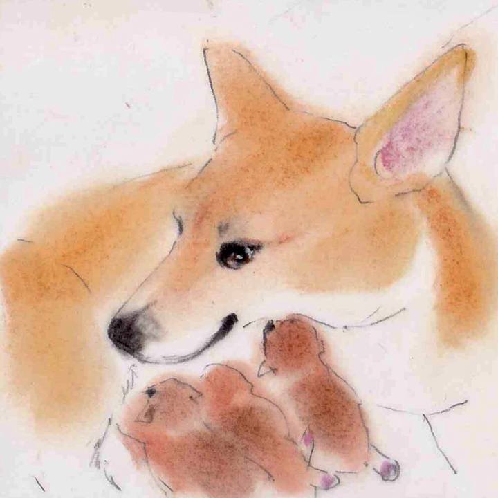 9acc9f70 79e4 455a a1e7 98dbbc23b1d8 1634482589647