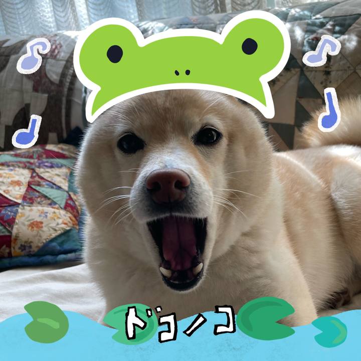 9acd651f f7fb 40aa b819 5ddc8a2059f5 1717892520162