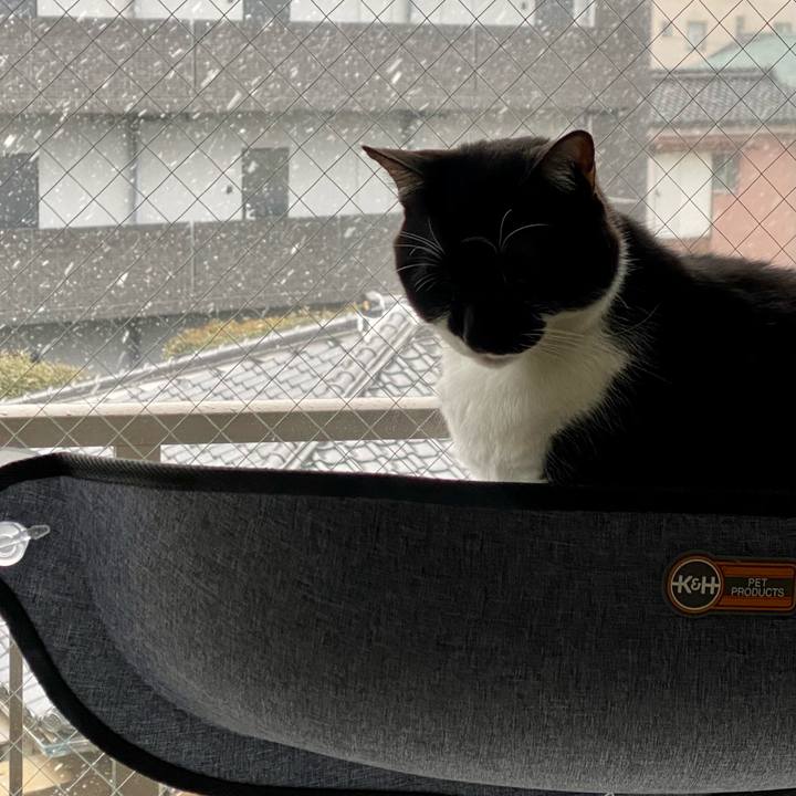 9acdd405 fae2 4918 a4f1 b7d8af96f309 1608127646452