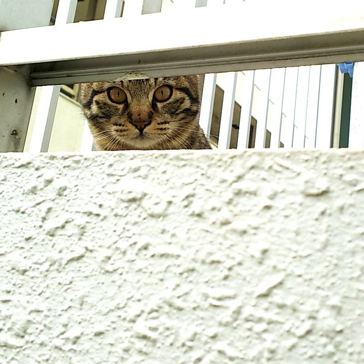 9acdec32 f7eb 41fd 9ffc 45d18c9ca3da 1551837628931