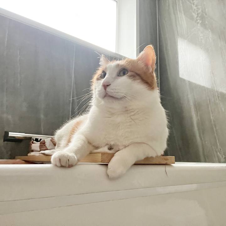 9ace15ef 9919 4c58 a2e9 9b8f84a4fd2c 1773623740677