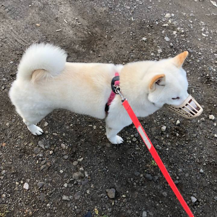 9ace3fb8 16cd 4ba5 8902 51e81ef806ec 1573454884674