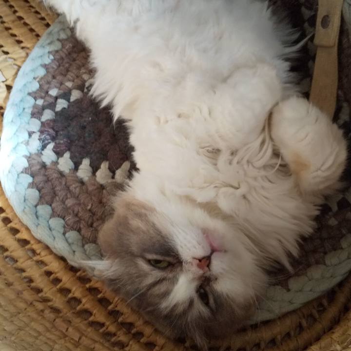 9ace6735 a163 4854 9212 45ff04209f5c 1656482185862