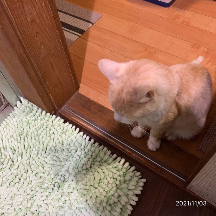 9ace6fd2 9c87 40de 84f1 874b24fed495 1635939531956