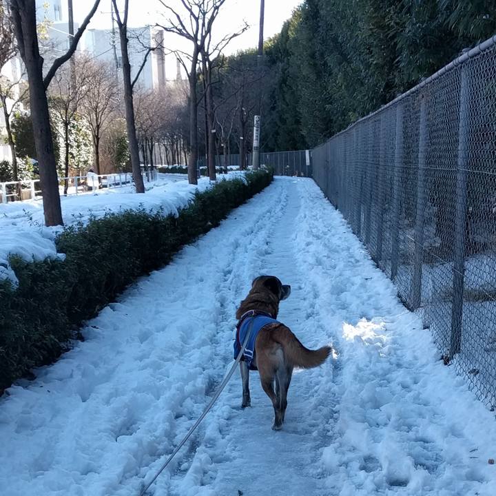 9acec496 dadf 41fc 91c8 37c471719f22 1516754002590