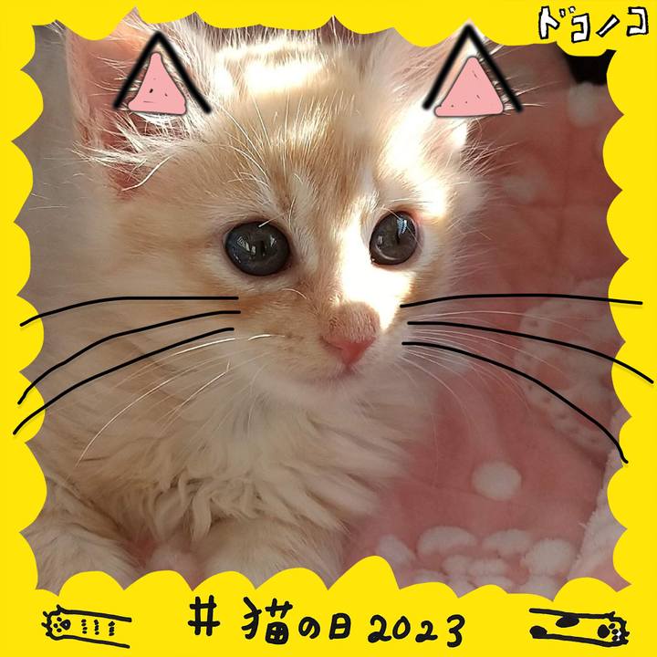 9acf191a 39c2 4cd0 b6cb 671636c092eb 1677070771629