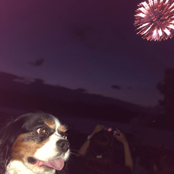 9acf2f59 66b3 4c56 887a 11c6592e5e4a 1565684299539