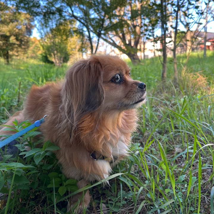 9acf8d6b 50ac 4237 a07a 2fd599ec55a5 1695941823250