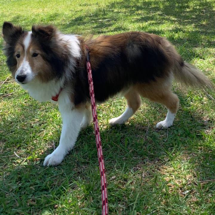 9acf94a1 0303 480d 8f34 3d0926cdbe11 1748155539257