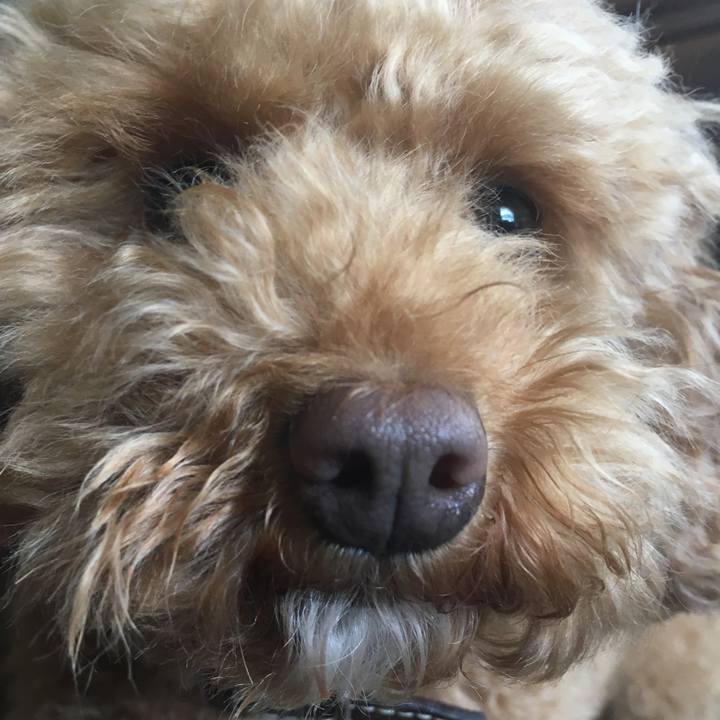 9acf98eb db92 4f40 bf51 95d071909ce7 1523495635825