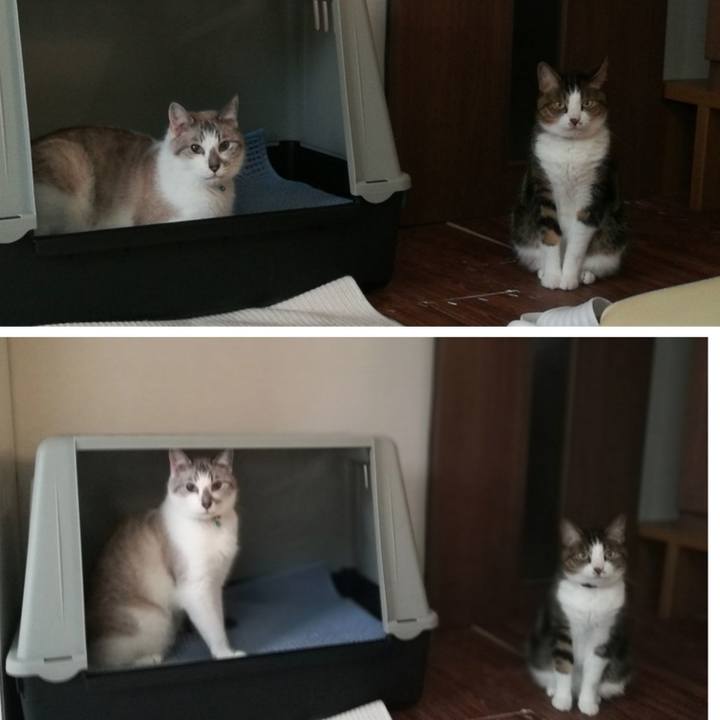 9acfc5b2 2773 4afc 9420 eb727f14c7ab 1565168204844