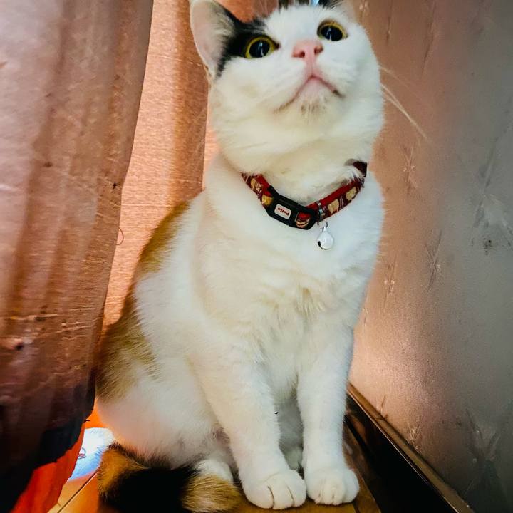 9acff516 7181 4e85 8faa ac6e793d7ba3 1660059279887