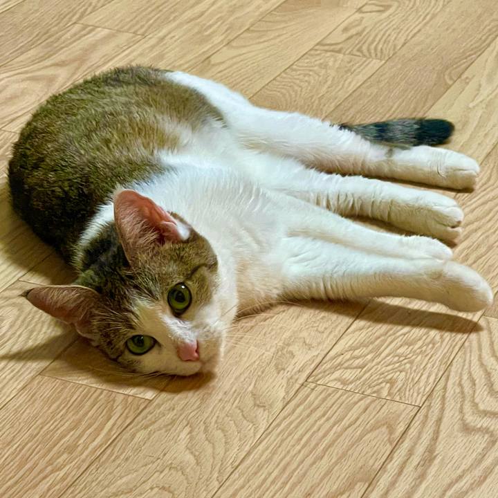 9acffc15 9b5d 463c baef a28cc564fc1b 1628948833252