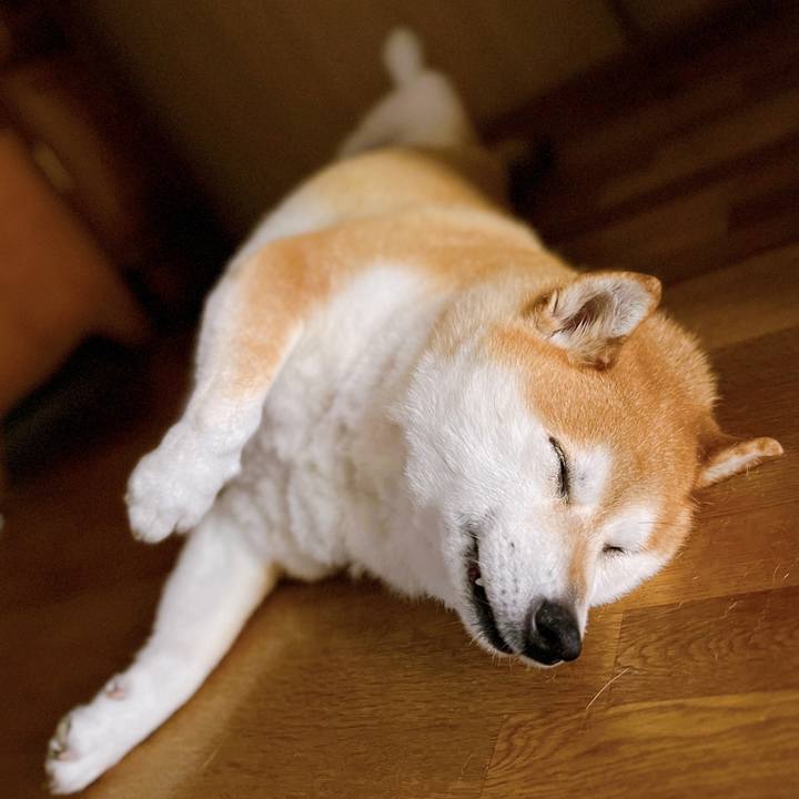 9ad00a8e ef29 448c 9981 e1cdebfc17e6 1689648760509