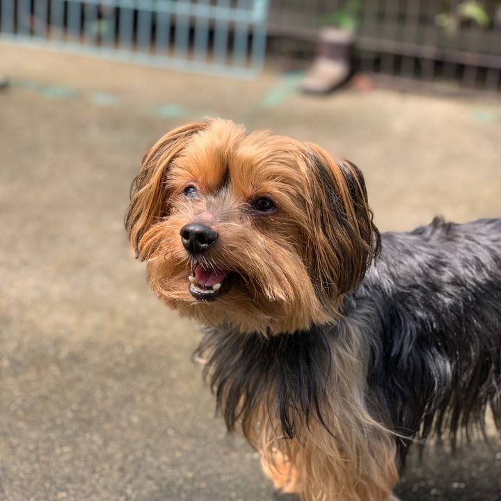 9ad010c9 e86a 497b 84db 09c6a9a33d39 1563579509268