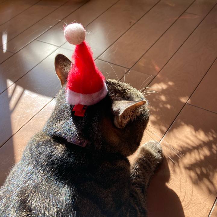 9ad03019 8036 494c 91d4 3b62381d274f 1608600931989