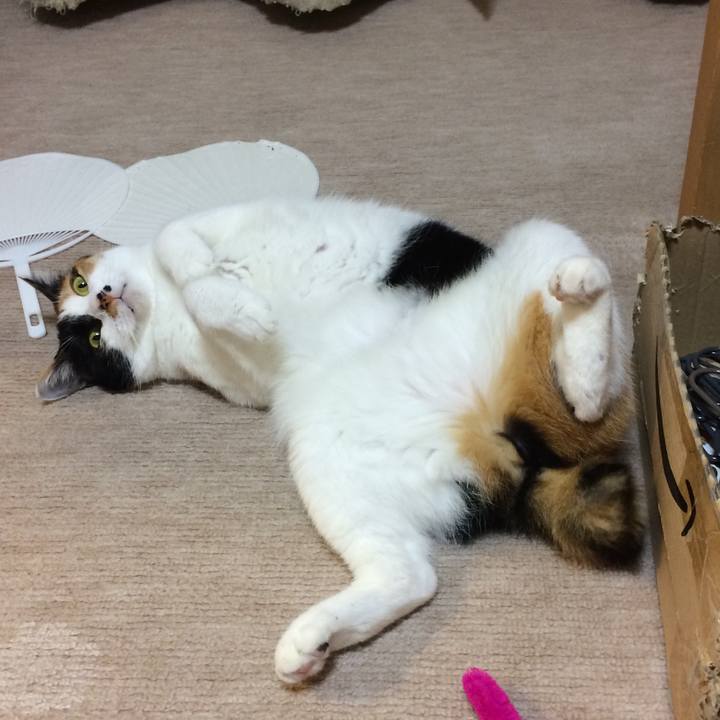 9ad060c6 7f15 4086 978c 07f241e98a22 1540638108814