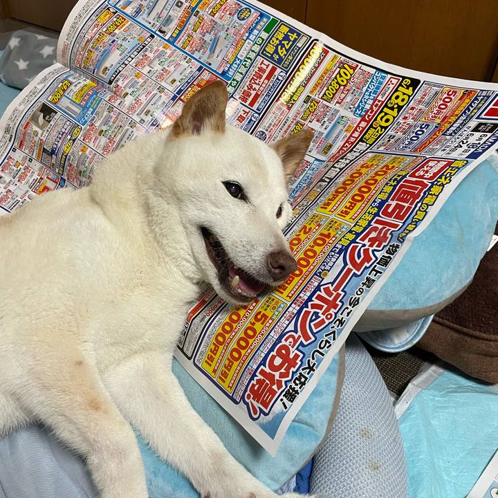 9ad06850 8d80 453f b2ad f9843e10d213 1655904906225