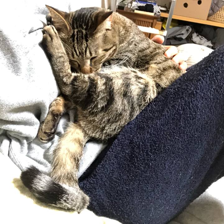 9ad07162 b087 4c09 8c8f 00b1d61fde59 1550328668473